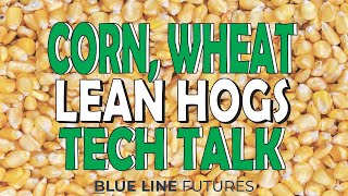 Corn, Wheat & Lean Hogs Technical Analysis | Oliver Sloup | Tech Talk 6.21.22 | Blue Line Futures