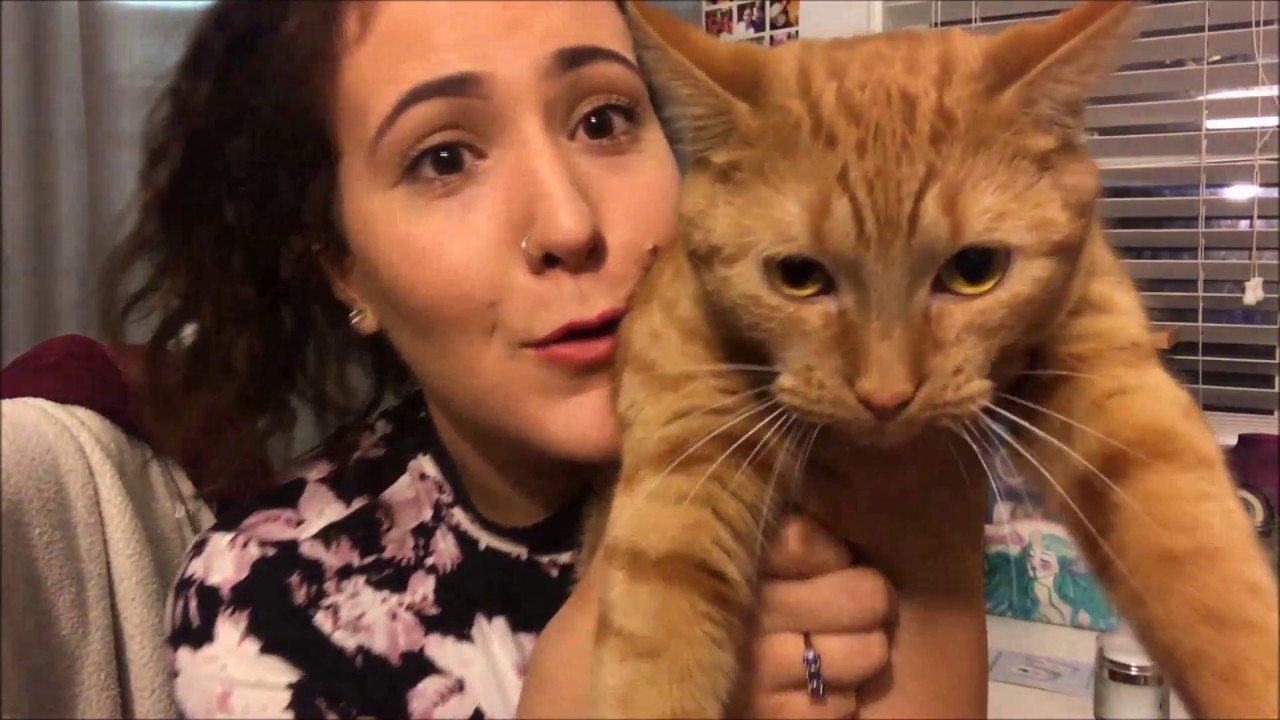 Influenster Elf VoxBox Review