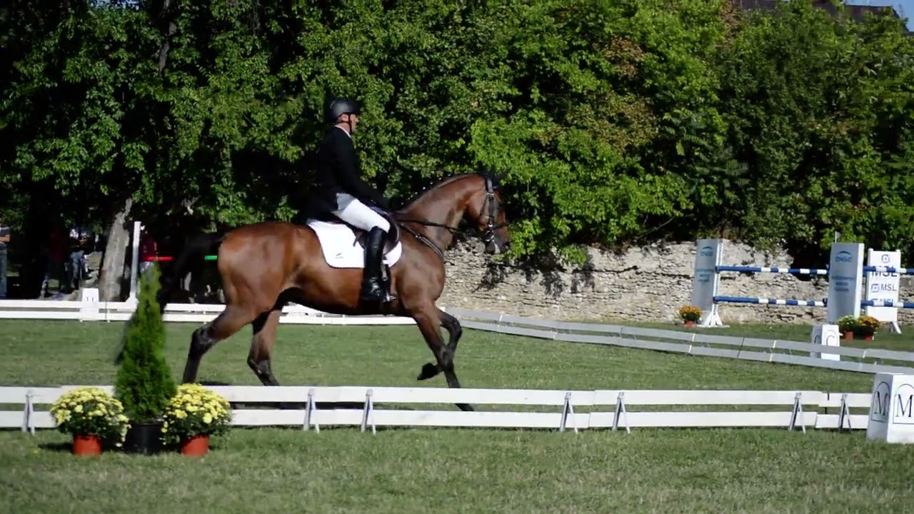 Petar Marchev and Galeon, Dressage, 2*, 22 – 24.09.2023 – FLORESTI, ROMANIA