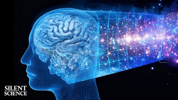 Is Your Brain is Connected to The Universe? | Quantum Consciousness Theory
