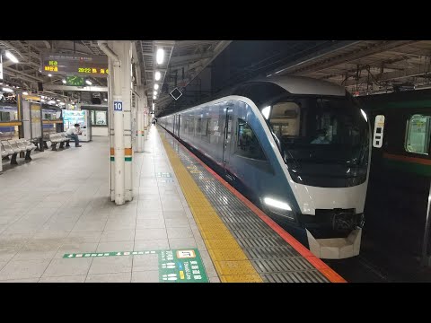 【台風の影響で東京駅9番線発着に変更！】E261系RS2編成臨時特急サフィール踊り子4号返却回送警笛を鳴らして東京駅発車