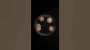 Abstract animation [cloth simulation] #BLENDER3D