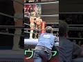 コーナーに登ったゴージャス松野が対戦相手の石井慧介が立ったこともあってコーナーから降りると大鷲透にエプロンでタッチ DDT「Judgement2024～旗揚げ27周年記念大会5時間スペシャル～」