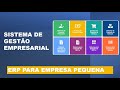 Sistema de gestão empresarial - ERP para empresa pequena