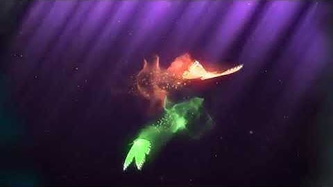 Colorful Butterfly Trails Intro Preview | After Effects Intros | LINK IN DESCRIPTION | Mr Toxin