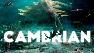 The Cambrian explosion