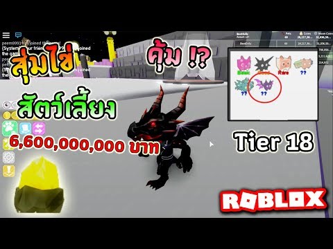 Roblox Steve S One Piece Ep38 ฮาค ส งเกตการณ หลบหล ก100 พร อมส มผลป ศาจ 100m Youtube - roblox steve s one piece ep20 ดาบโซโล 3ss katana ผ เล นใหม