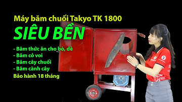 Video máy băm chuối dành cho hộ chăn nuôi dê bò l Máy băm chuối Takyo TK 1800