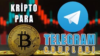 Kripto Para Telegram Grupları - Kimleri Takip Ediyorum?
