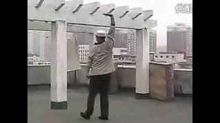 Xin Yi Quan - Yang Hai Ming Xin Yi Quan - Yang Hai Ming