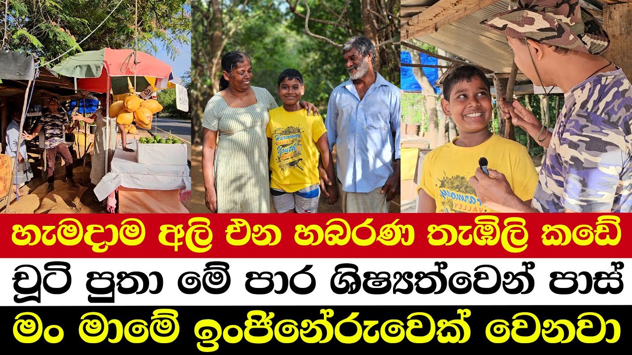 හැමදාම අලි එන හබරණ තැඹිලි කඩේ | චූටි පුතා මේ පාර ශිෂ්‍යත්වෙන් පාස් | මං මාමේ ඉංජිනේරුවෙක් වෙනවා
