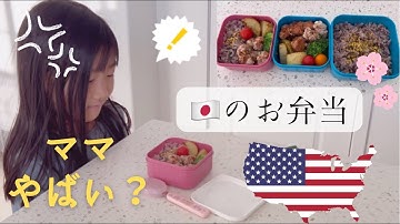 【1週間のお弁当】日本のお弁当をサプライズで作ってみたら
