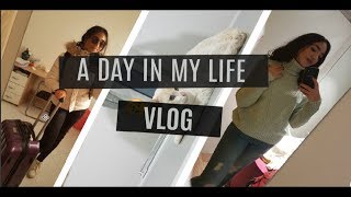 Vlog:نهار في حياتي, Haul لاخر مشترياتي & try on (LC Waikiki, Zara, Defacto..),قطي عند البيطري