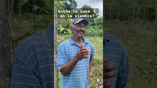 Hay que conocer las fases lunares para la siembra de un fruto, así dice José. 🥸 Será cierto? 🧐