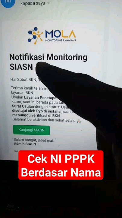 Cara cek ni pppk online berdasarkan nama di Mola BKN monitoring layanan bkn
