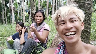 Bukid - Harvesting pili | MIGZtv