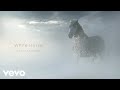 Taylor Swift - White Horse (Taylor