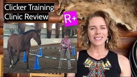 Positive Reinforcement (CLICKER TRAINING) Clinic with Shawna Karrasch Review