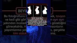 Yakından Bak