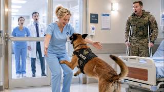 Details QUIET NURSE Called “SUPPLY GIRL” for 5 Years — Until a MILITARY K9 Revealed Her Rank News