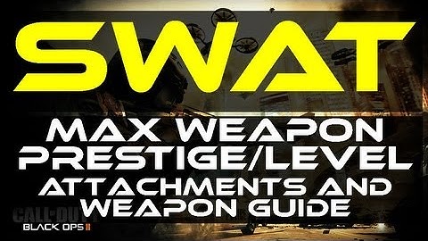 Black Ops 2 - SWAT Max Prestige/Level Gun Guide by Product Shard