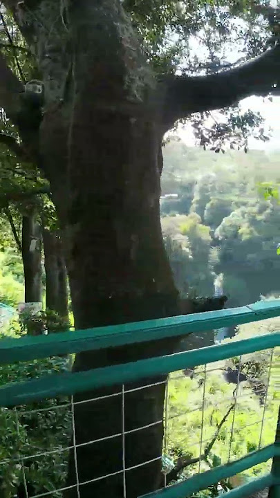 pintu masuk curug cimahi