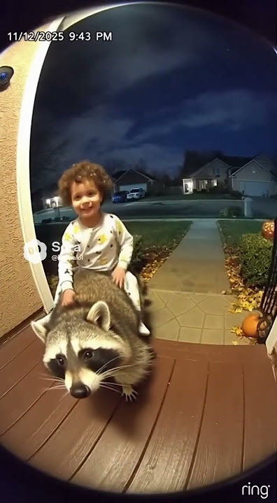 He’s okay 😭🤣