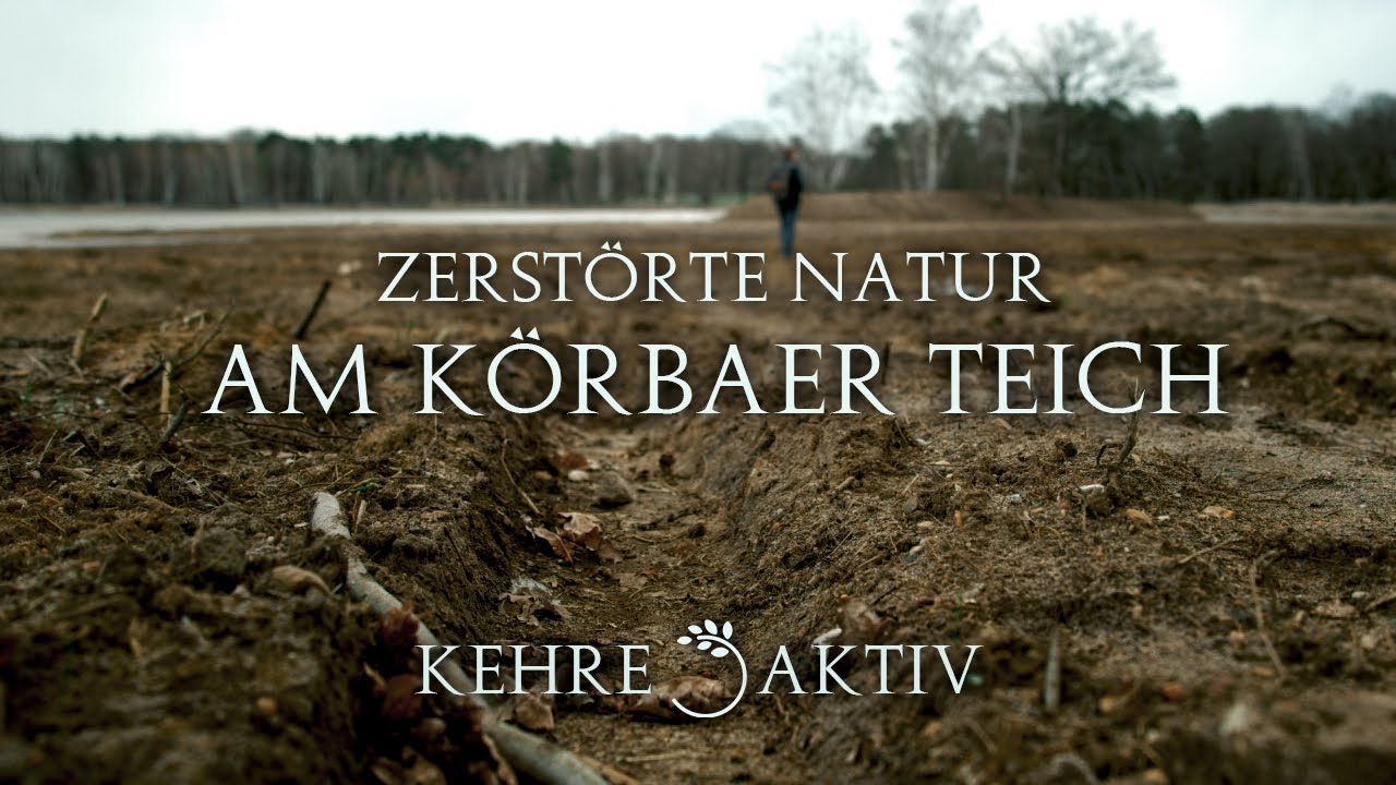 KehreAktiv #1: Zerstörte Natur am Körbaer Teich