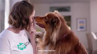 Mad Paws TVC | 15A