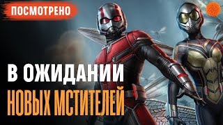 Реакция на фильм “Человек-Муравей и Оса” ▶️ ПОСМОТРЕНО №8