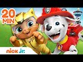 PAW Patrol Best Cat Pack Rescues & Adventures! | 20 Minute Compilation | Nick Jr.
