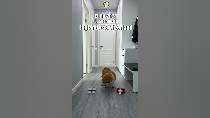 Corgi predicted the match England vs Switzerland Euro 2024 #euro2024 #england #switzerland #football