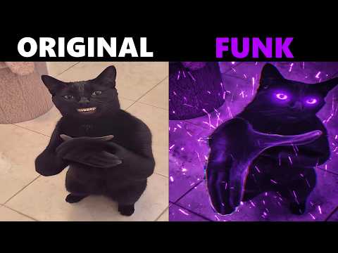 Cat Clapping Meme Original vs Funk