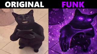 Cat Clapping Meme Original vs Funk