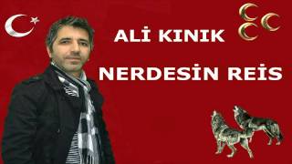 Ali Kınık - Nerdesin REİS Resimi