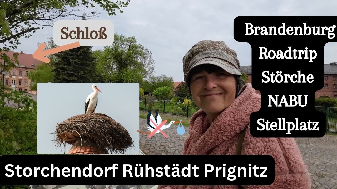 Vlog 282 Storchendorf Rühstädt • Stellplatz • Tour Abbruch • Schloß • Störche • Prignitz