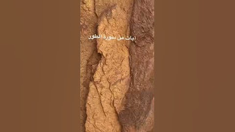 دحيم بن محمد بن دحيم ١٤٤٤هـ آيات من سورة الطور