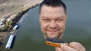 Какая на вкус Черная икра? Крупнейшее осетровое садковое хозяйство Астраханской области