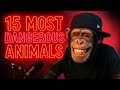 15 Most Dangerous Animals in the World (That Actually Kill People) 😱☠️