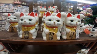 100 yen shop 4K | Get almost everything @65 Rs | Indian in Japan
