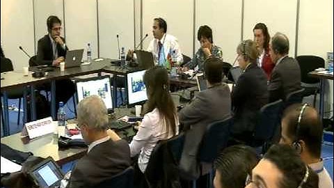 IGF2012- Dynamic Coalition on Child Online Safety