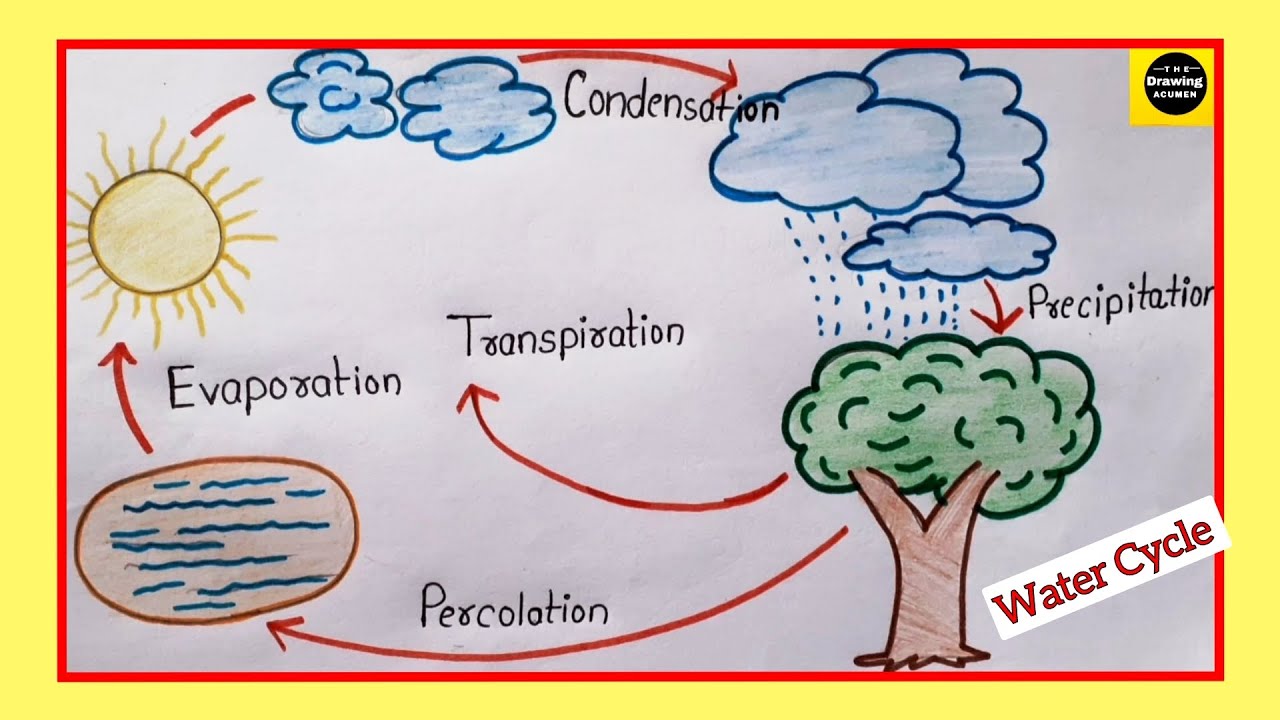 How to draw "Water Cycle" diagram step by step for beginners