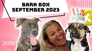 Bark Box September 2023: Pawsitively Awesome Surprises Inside!