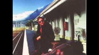 suitcase vol winter, piet botha