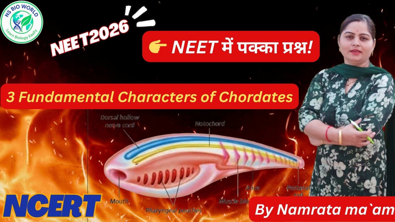 Three Fundamental Characters of Chordates | Notochord, Nerve Cord & Pharyngeal Slits | NEET 2026