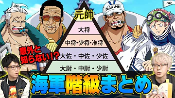 ワンピース 勢力 図