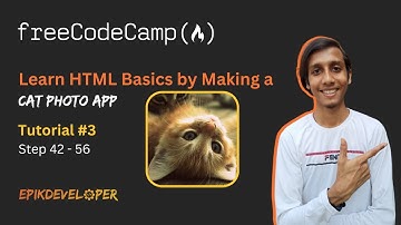 CatPhotoApp Tutorial #3 Step 42-56 | Learn HTML Basics - (New) Responsive Web Design | freeCodeCamp