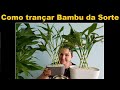 Como trançar Bambu da Sorte