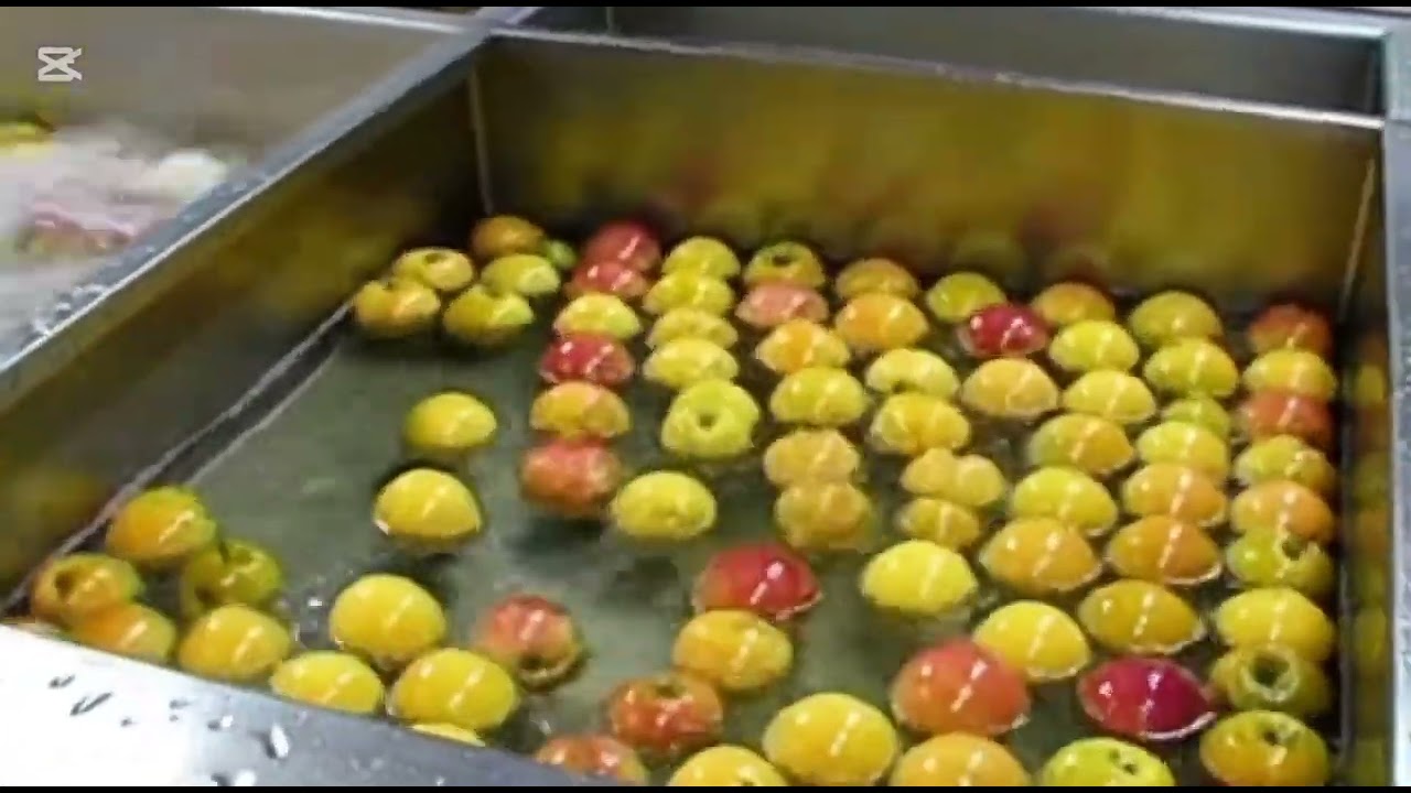 Apple juice prossing factory 