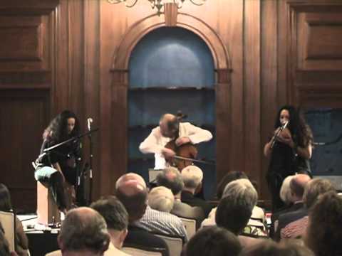 Rimsky-Korsakov's Bumblebee. Alexander Ivashkin, cello.
